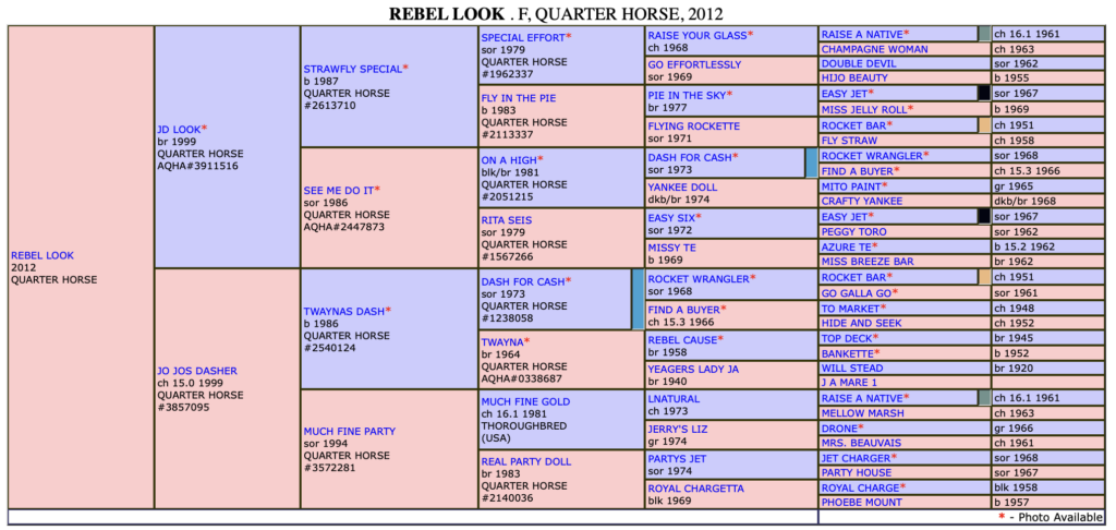 2022 Pendleton barrel racing championship earning horse, Rebel Look.